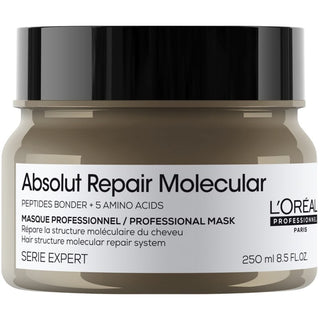 L'OREAL PROFESSIONNEL SERIE EXPERT ABSOLUT REPAIR MOLECULAR MASK 250 ML